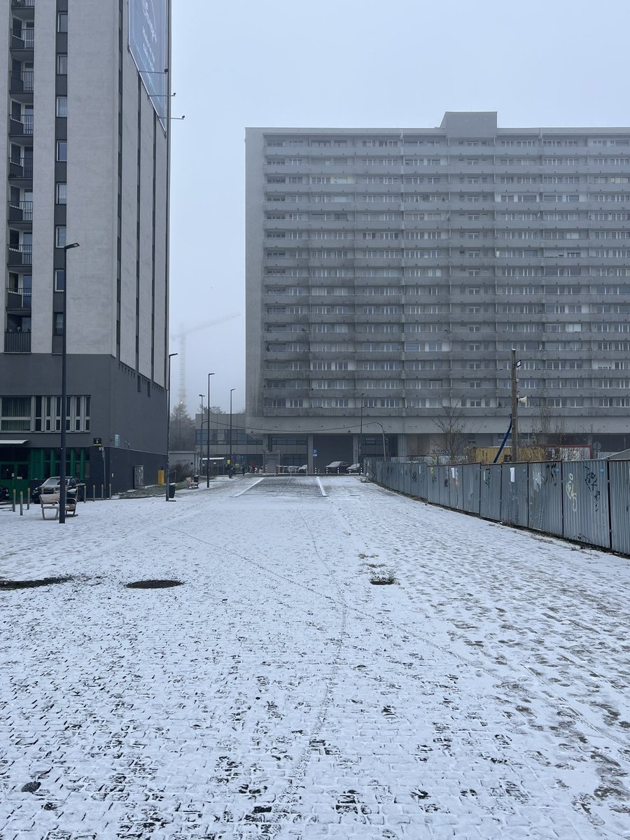 Catriona Von Beuthen tweet media