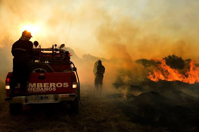 NerinaNeumann's tweet image. Mi solidaridad con las familias de Puan y Villarino por los incendios que siguen afectando la producción.
Gracias a cada bombero/a voluntario/a, a Defensa Civil y a los equipos municipales que hace días están en la primera línea.
Cuando pase la emergencia, es necesario que…
