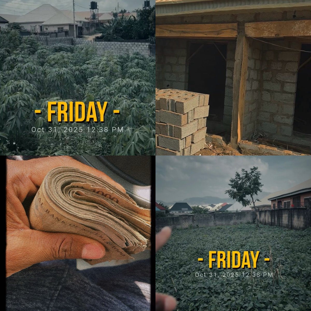 collcool_sneh🟡 tweet media