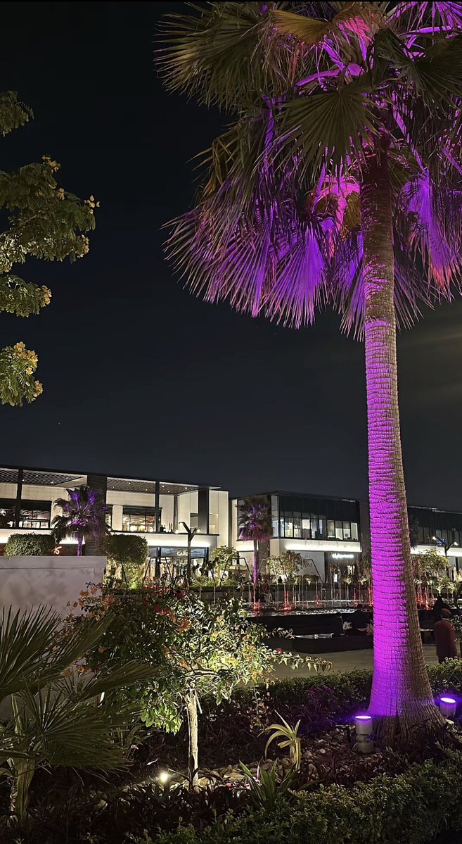 st_opp0's tweet image. انا في نجد مسكاني وحيّي