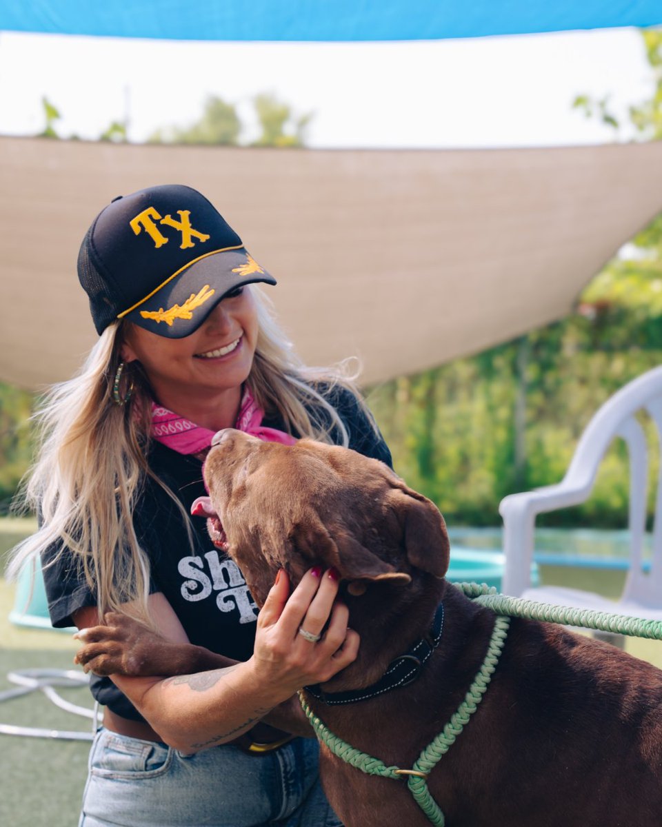 Miranda Lambert's MuttNation tweet media