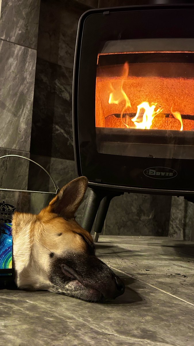 2026年もよろしくお願いします。