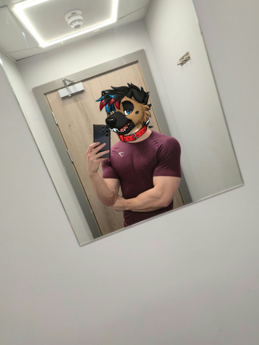 Echo Shep 🌈 tweet media