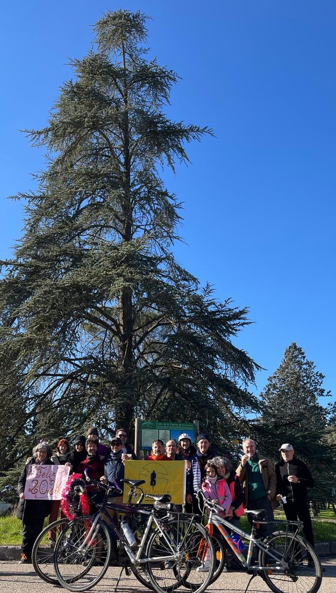 Que el nuevo año, nos traiga una apuesta sincera por un transporte sostenible, inclusivo y respetuoso, donde la bicicleta ocupe el gran papel que le corresponde en nuestras ciudades y regiones
🚲♥️🏙
#RedCiclistaYa
🚲🚲🚲F E L I Z 🚲🚲🚲
🚲🚲🚲 2 0 2 6 🚲🚲🚲