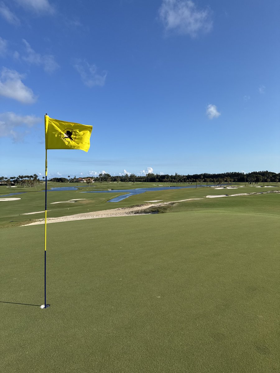 NOTdaRealGil's tweet image. What is/are your favorite golf picture(s) that YOU took in 2025? 

Can’t narrow it down so here’s four of my favorites!