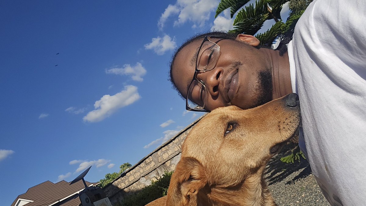 Georgia | Lisk tweet media