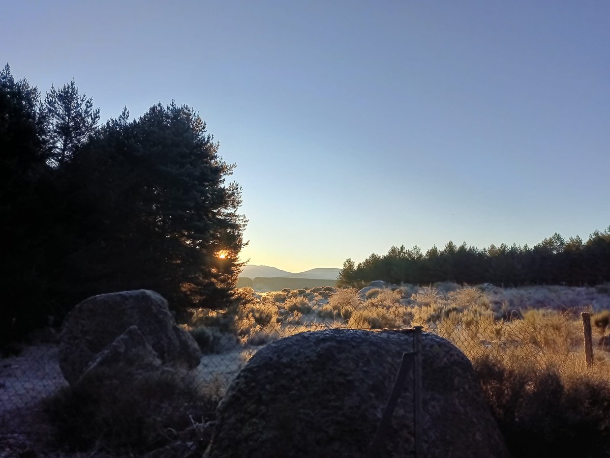 Últimos rayos del 2025 😍