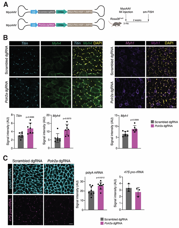 Waggoner Lab tweet media