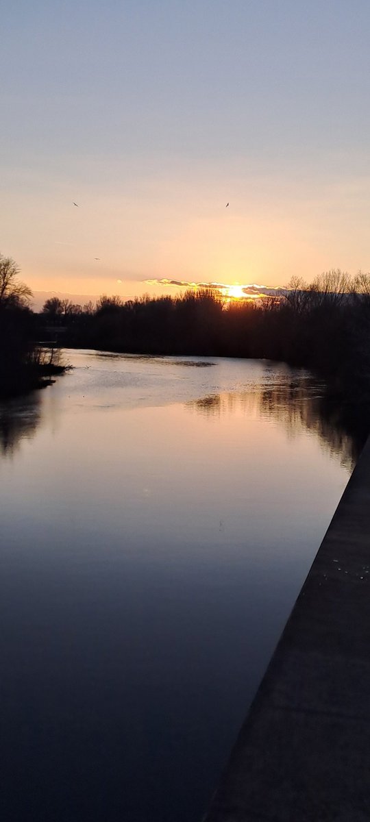 Pere Albertí🎗 tweet media