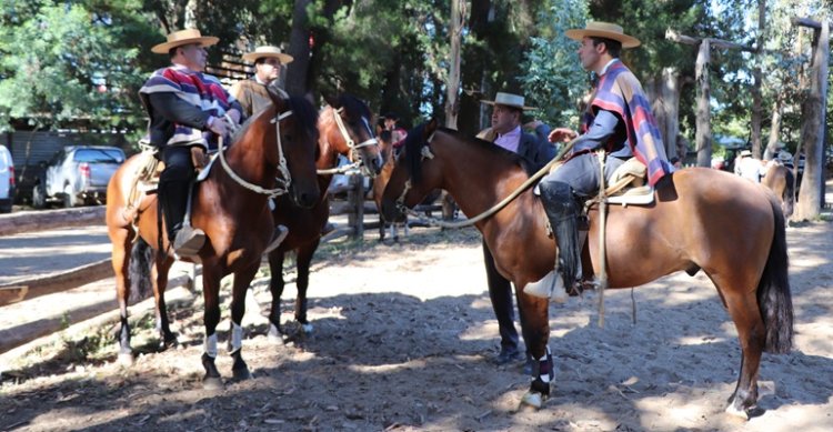 Johnnson Guiñez: "Esperamos tener una gran fiesta de la chilenidad en Pemuco" #Caballoyrodeo tinyurl.com/ba4kwt7r