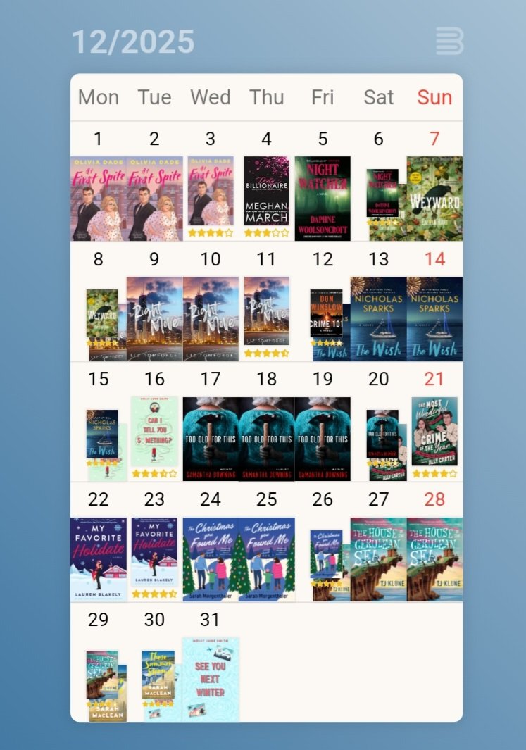 BBButler91's tweet image. My Dec reading calendar. Finished the year with some wonderful books. Loved The Wish &amp;amp; The Christmas You Found Me. The last one turned out to be one of my favorites; These Summer Storms. I read a total of 164 books this year. I think my overall favorite was The Women.