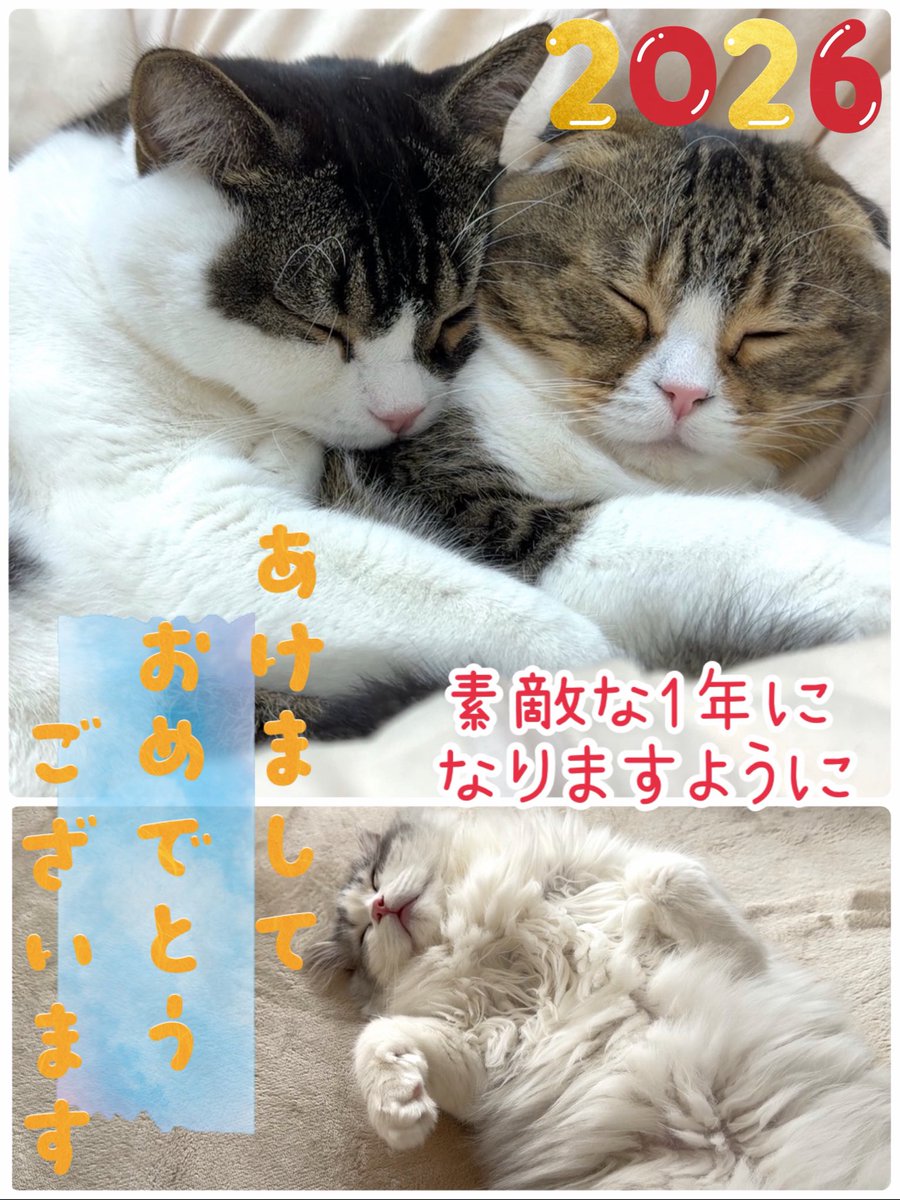 スコスコぽこ太郎&うま次郎 (@PocoUma) / Posts / X