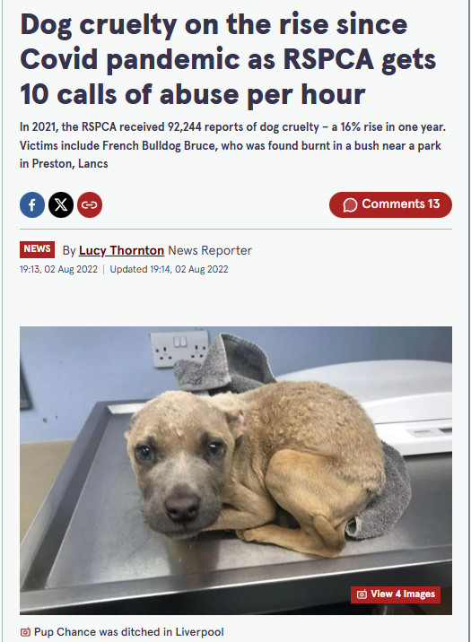 𝚅𝚒𝚛𝚝𝚞𝚎 𝙿𝚘𝚜𝚝𝙼𝚘𝚛𝚝𝚎𝚖 tweet media