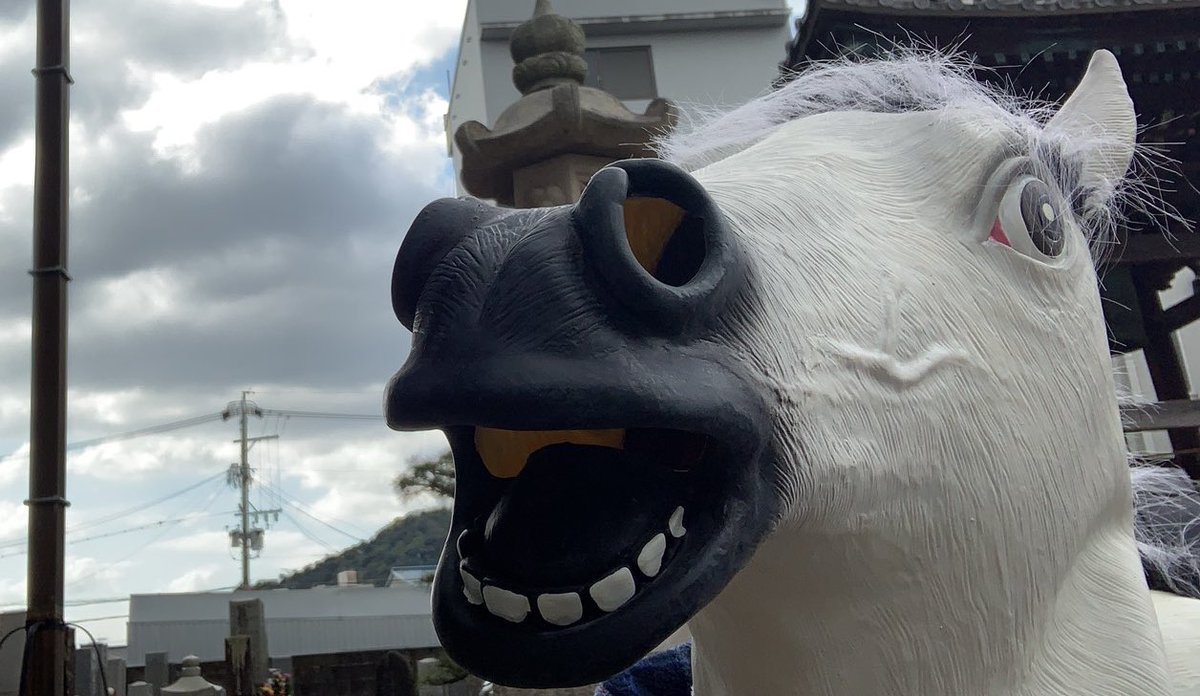 yomebokko's tweet photo. 特に何もしてないけど

今年は昨年の自分からうま(午年だけに)れ変わって何事もうま(午年だけに)く一年にしましょッ https://t.co/ZRLCY16idy