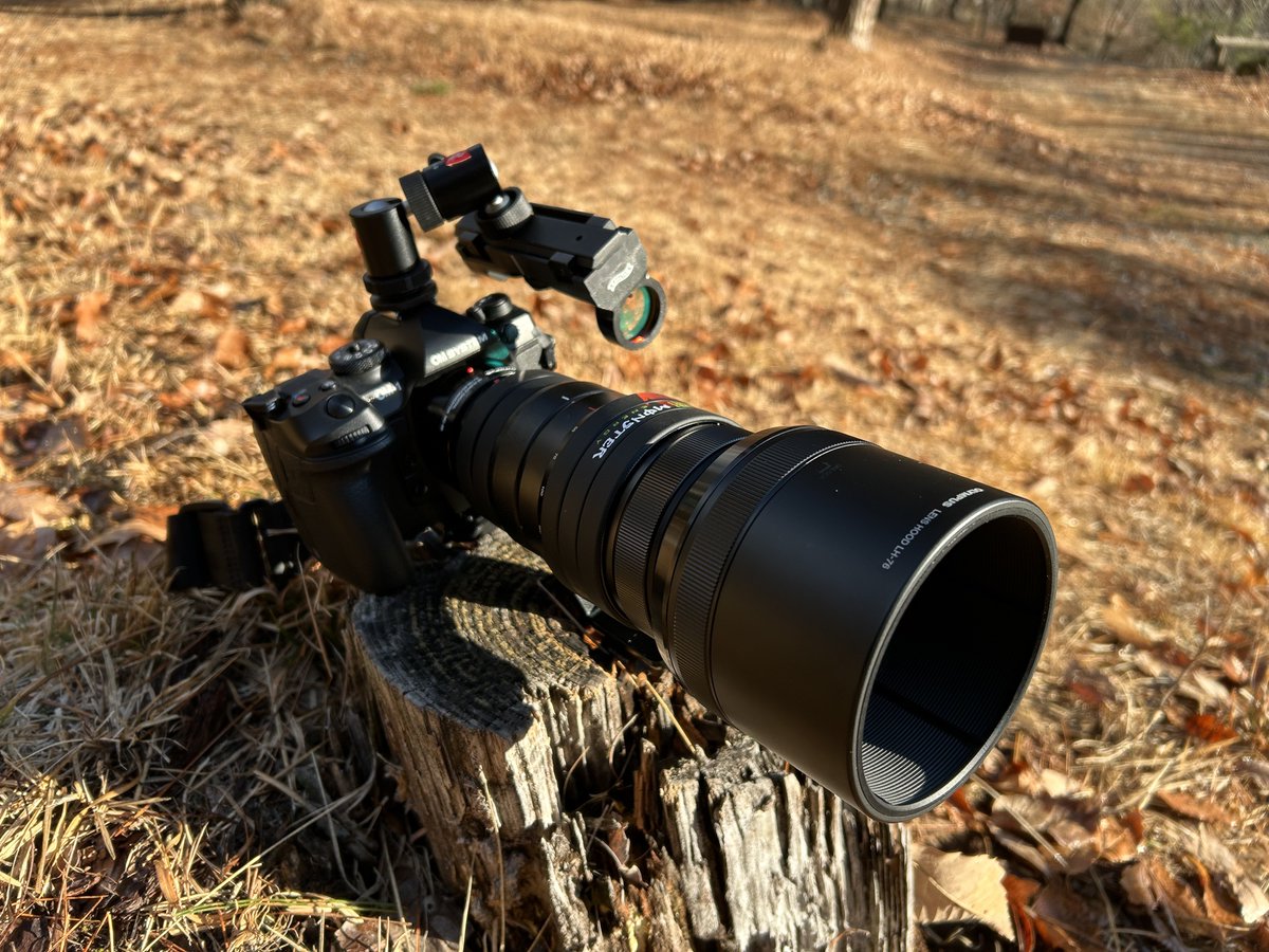 と〜た (@xdog_tohta) / Posts / X