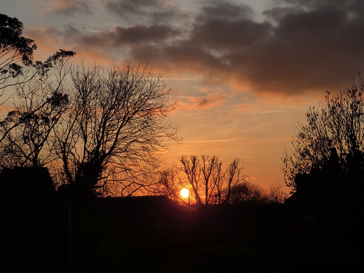 cozycase's tweet image. pretty sunset to end 2025