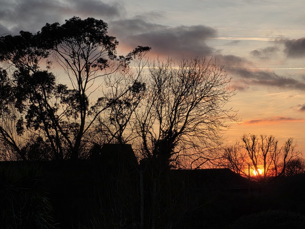 cozycase's tweet image. pretty sunset to end 2025