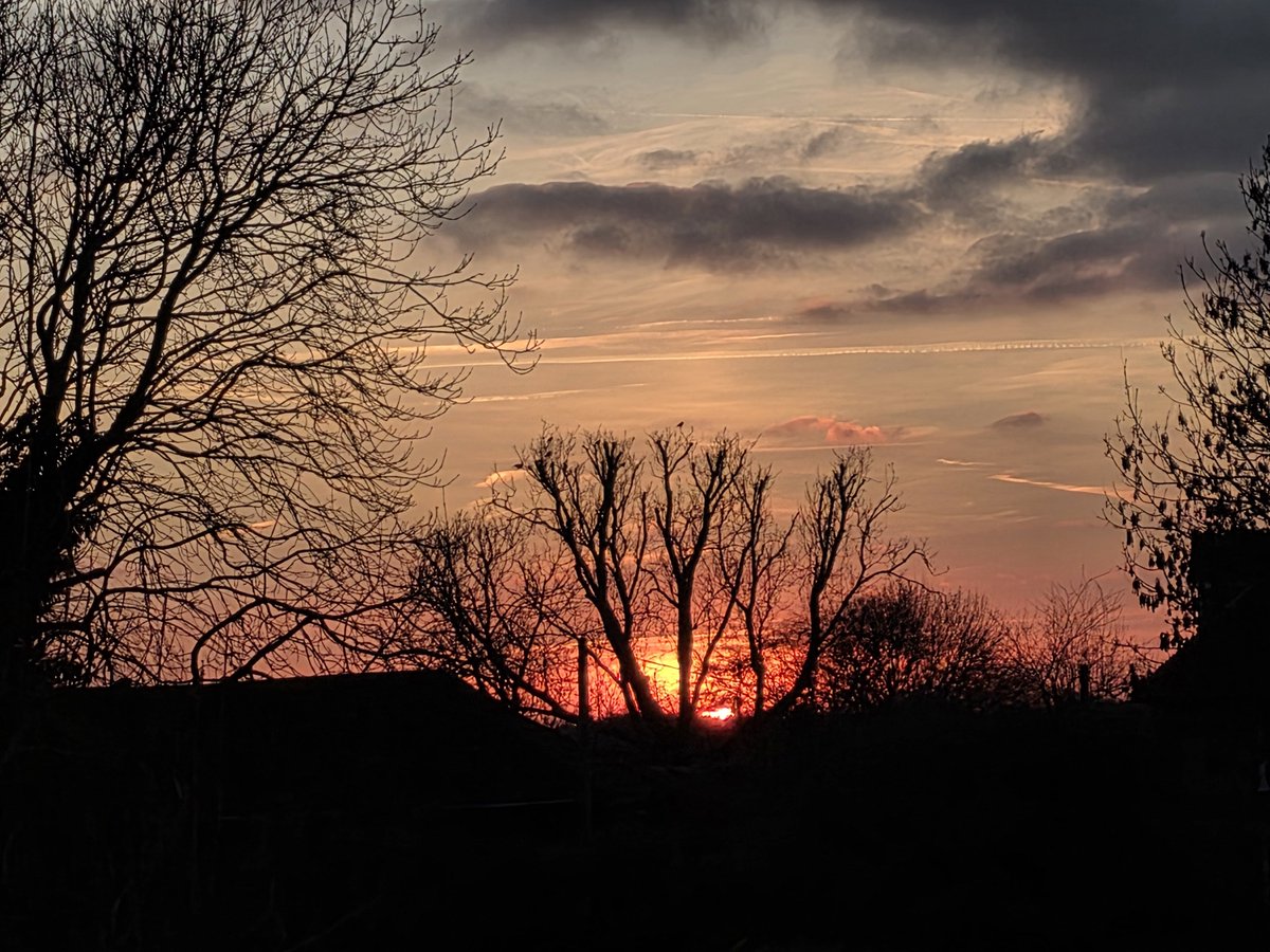 cozycase's tweet image. pretty sunset to end 2025