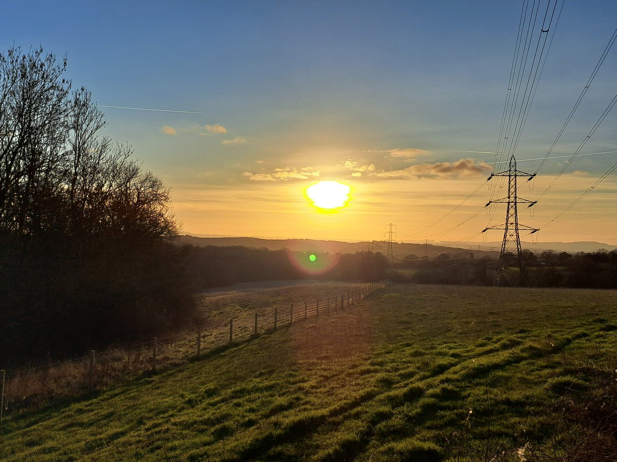 Conrad Palmer tweet media