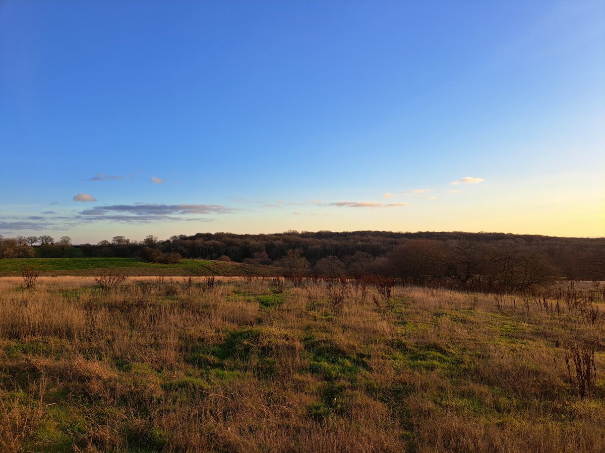 Conrad Palmer tweet media