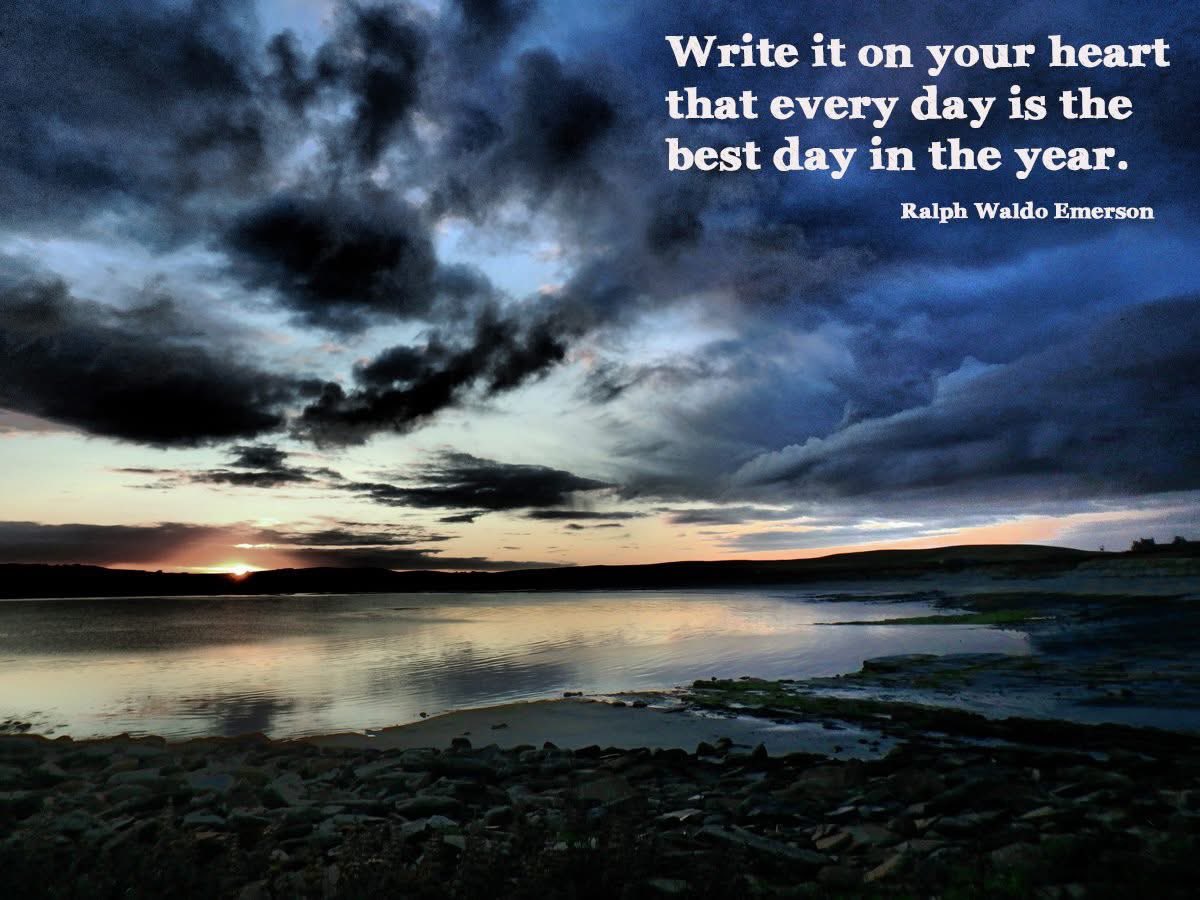 Nick Ray tweet media