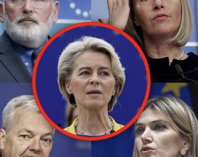 Krystyna Pawłowicz tweet media