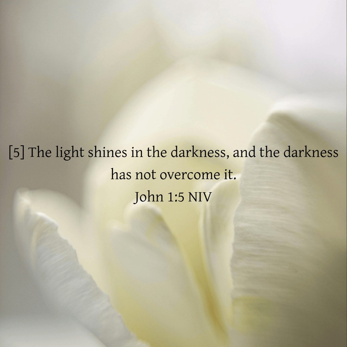 AnnitahRaey's tweet photo. God's Word
#annitahraey
#biblereading
#dailyreading
#GodDaily https://t.co/Bg1PEonuyb