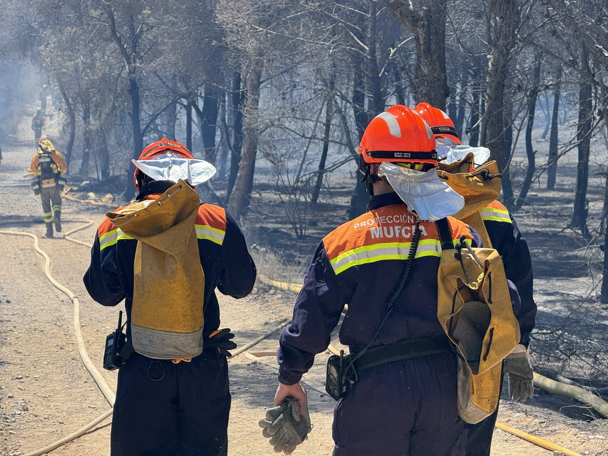 🔔🕛 A pocas horas para dar la bienvenida al nuevo año, recuerda:

🍇 Precaución con las uvas, sobre todo con niños.
🚗 Prudencia en los desplazamientos.
🥂 Responsabilidad en las celebraciones.
📲 Ante una emergencia, llama al 1-1-2.

Desde <a href="/EmergenciasMur/">Protección Civil Murcia</a>,
¡feliz año 2026! 🥳🎉