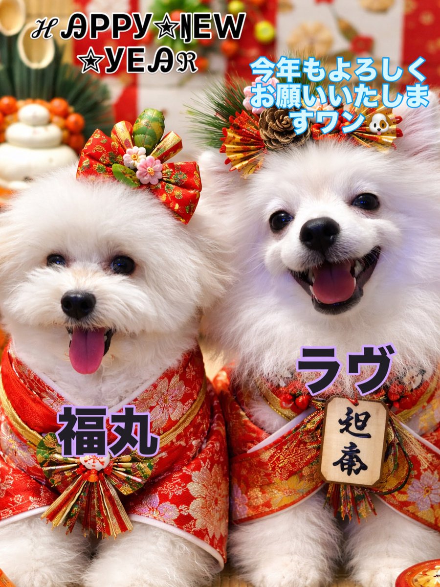 chamocolab22's tweet image. 明けましておめでとうございます✨️
今年は2匹のワンちゃんをお迎えしました✨️
今年はワン友がたくさん欲しいワン‼️
皆さん今年もたくさんのフォロー、いいね、リツイート、コメントお待ちしています‼️
今年もよろしくお願いいたします🙏