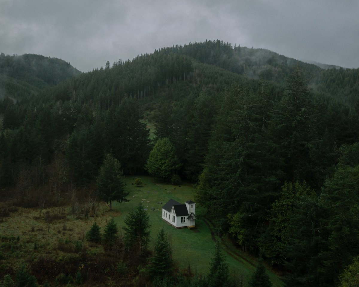 Brendon Burton tweet media