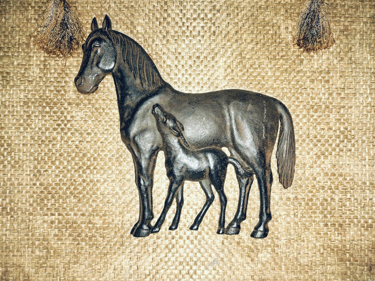 cube_type's tweet image. #初詣2026 
午年