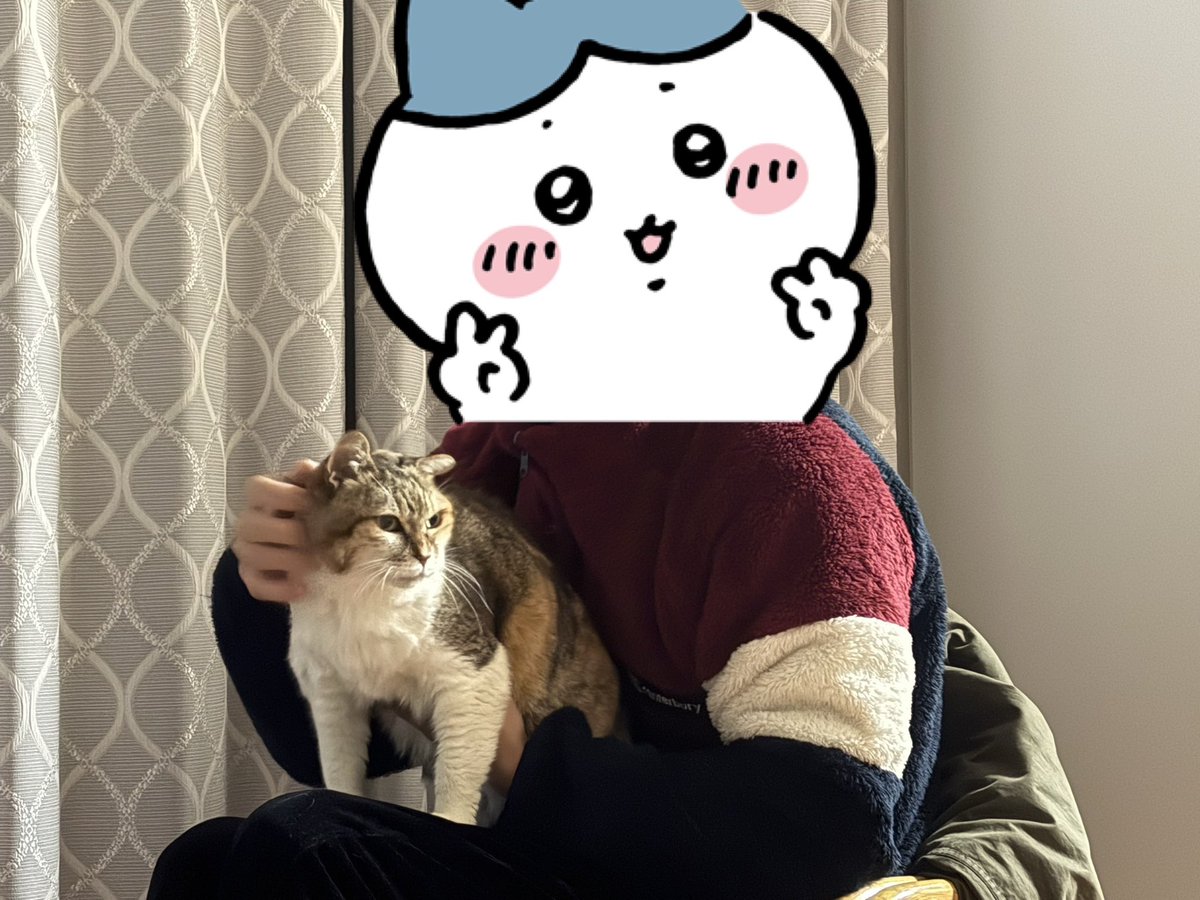 6uuuuC's tweet photo. あけおめことよろ https://t.co/0YUAOIoFlN