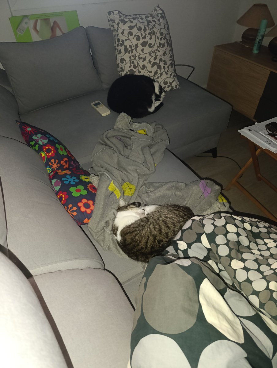 mo_ant53's tweet photo. @shankamar Menudo problema tienen estos dos 😹 https://t.co/pTe6WZZFTW