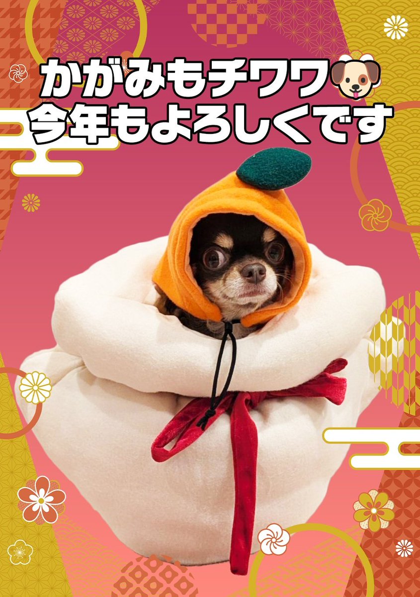 ことしも よろしくです🐶2026 #喪中につき新年のご挨拶は控えます