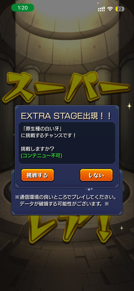 年始早々ダイナとハクア2体同時出現なんですけど？
