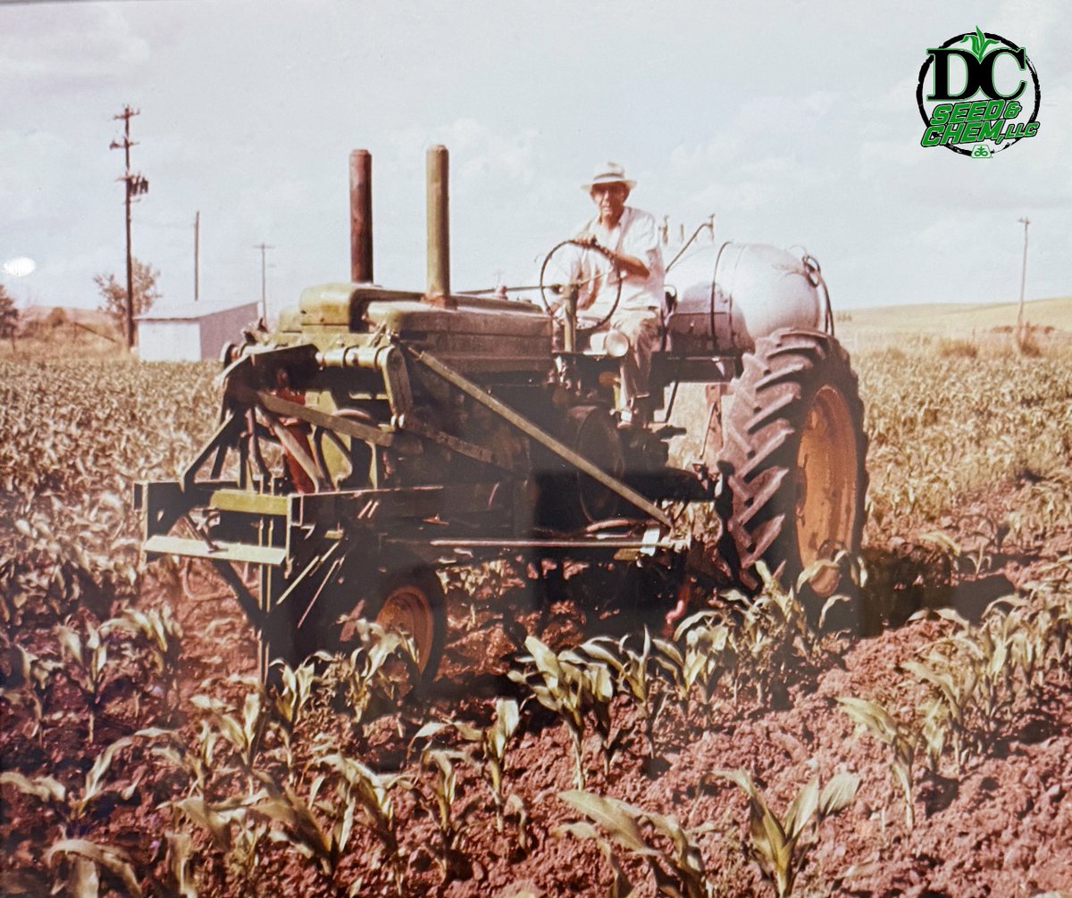 Dallas Choat tweet media