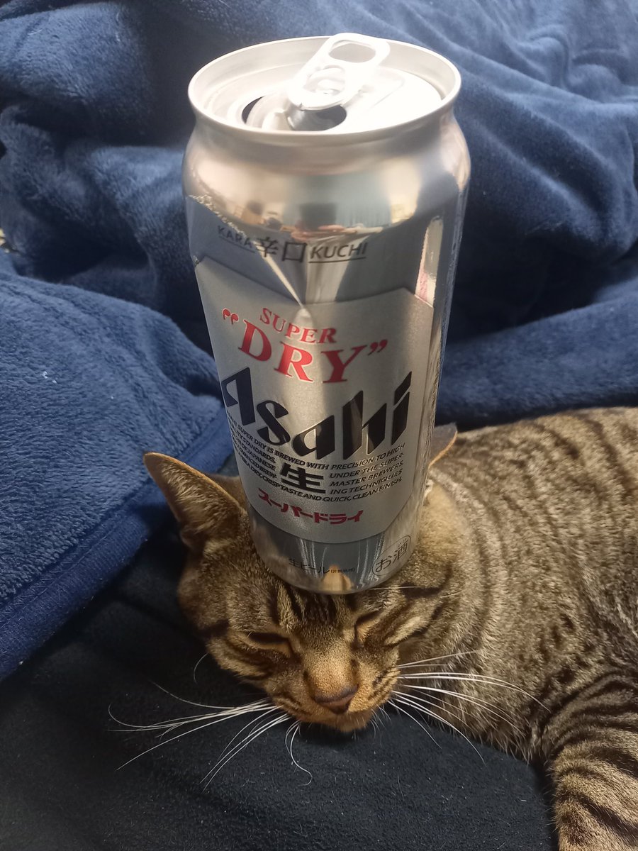 も、もう1本イケます💦