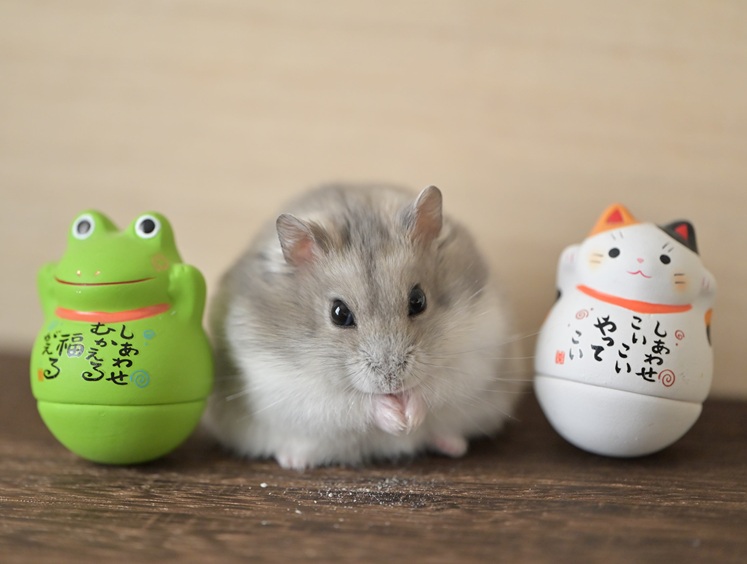 ペロ木村 (@S5ROvu7uvUr8RO5) / Posts / X