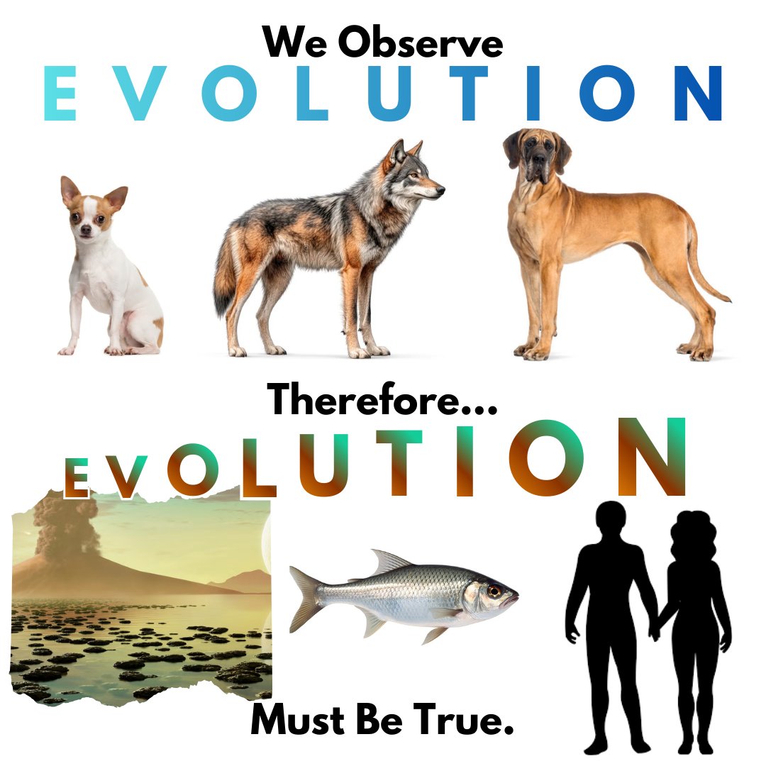 Divinely Designed tweet media