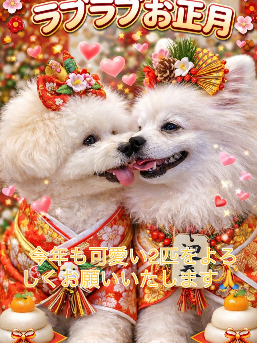 chamocolab22's tweet image. 今年も2匹のワンちゃんをよろしくお願いいたします🙏
犬友さんお待ちしています🐕‍🦺 ✨✨
 #ポメラニアン #ポメプー #犬好きさんと繋がりたい #犬の居る生活