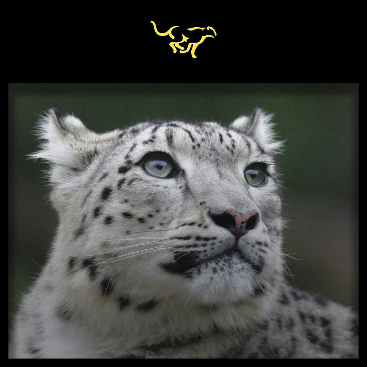 markdanielewski's tweet image. #giving