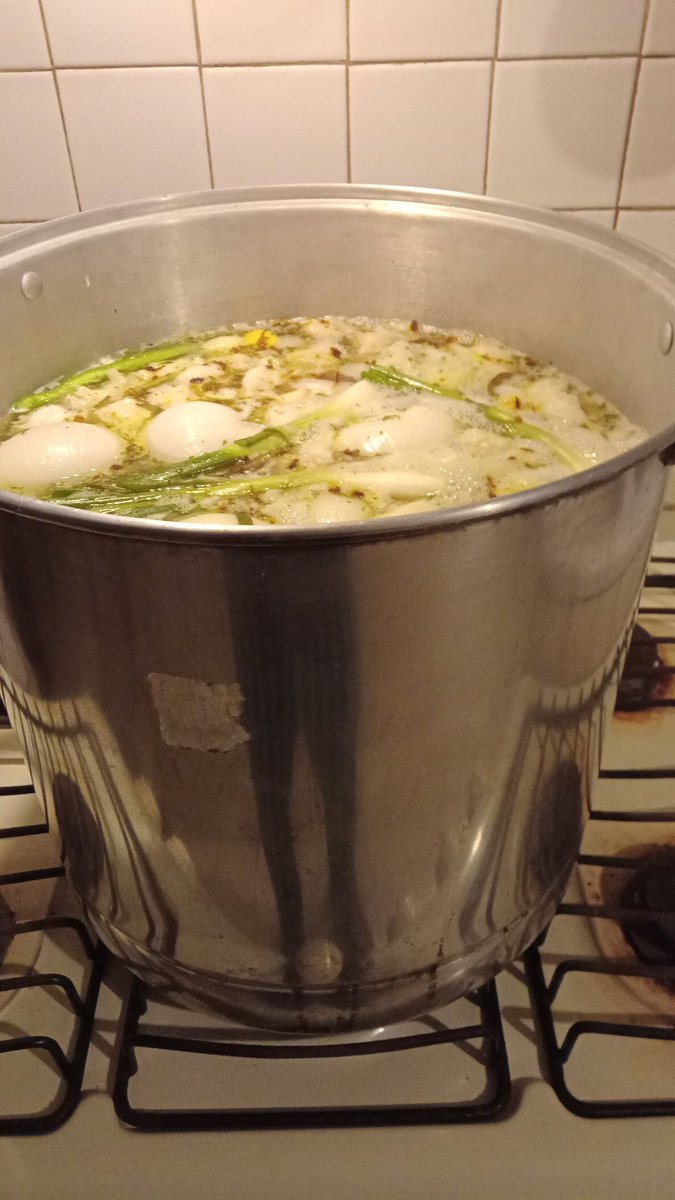 OSCAR ESPADA🇲🇽↗️ tweet media