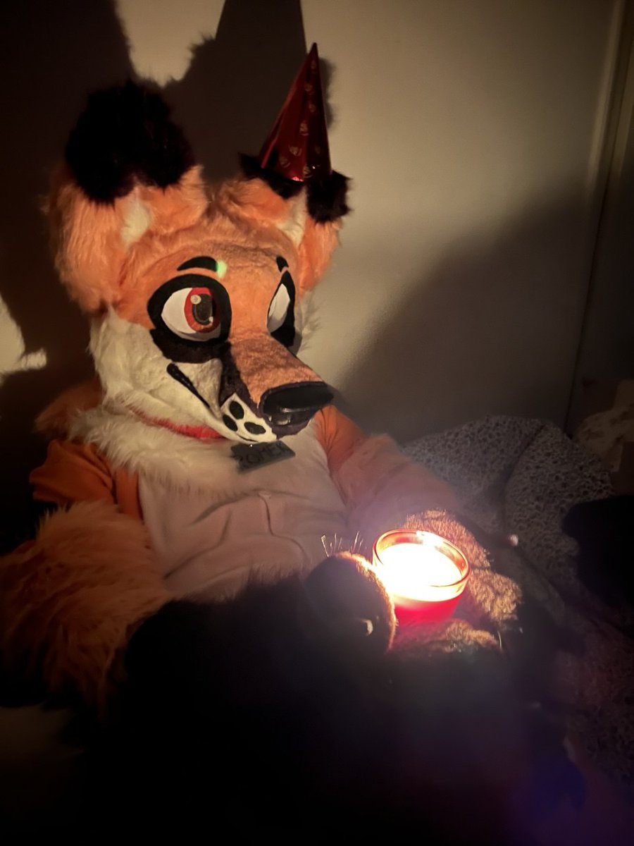 Happy New Year #furry #NewYear #fursuit