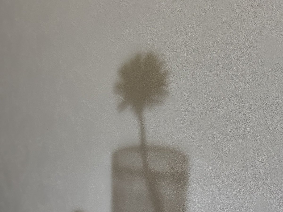 ticatica2525's tweet image. ハッピーニューイヤー

変わらず見てくださるみなさま
2026年も
作り続けていきますので
暖かく見守っていただけたら嬉しいです❁