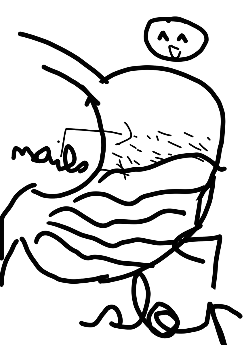 circise's tweet image. This is what my stocmachs look like