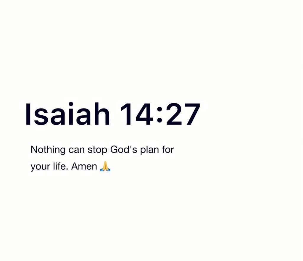 Holy Bible tweet media