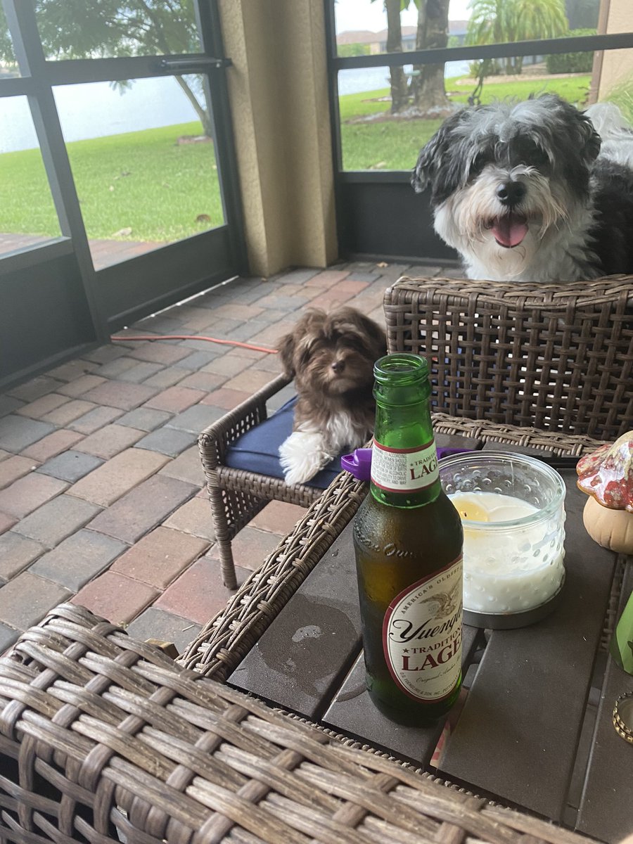 Had to put our little guy to rest yesterday, first time dealing with this kind of thing and it sucks so bad