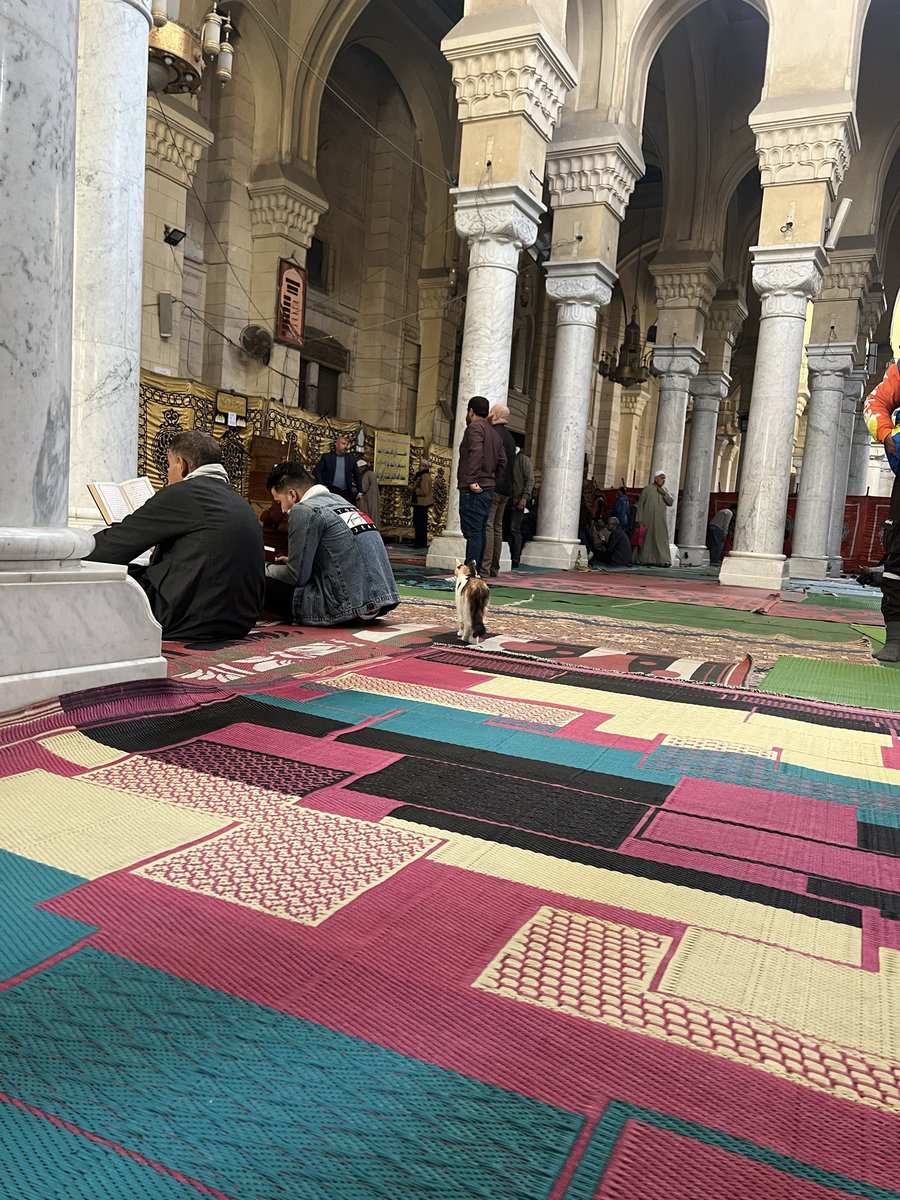 رب إني وهن العظم مني واشتعل الراس شيبا ولم اكن بدعائك رب شقيا

رب إني مسني الضر وانت أرحم الراحمين

رب إني لما أنزلت إلى من خير فقير

اللهم إنا نسألك بجاه سيدنا محمد ﷺ المغفرة والرضا والقبول قبولا تاما لا تكلنا فيه الى أنفسنا طرفة عين يا نعم المجيب فقد دخل الدخيل يا مولاي بجاه