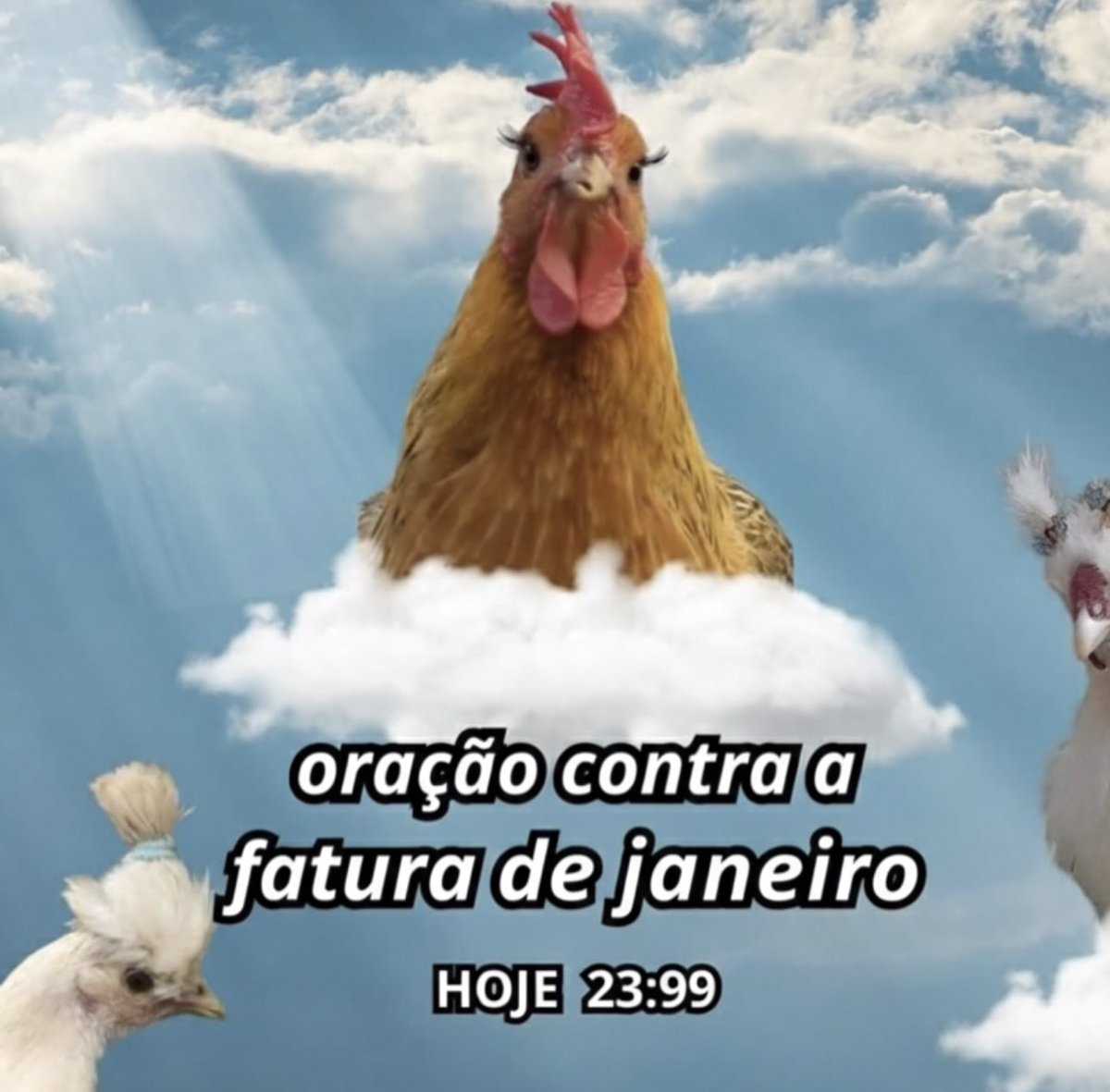 musadosmeme's tweet image. 