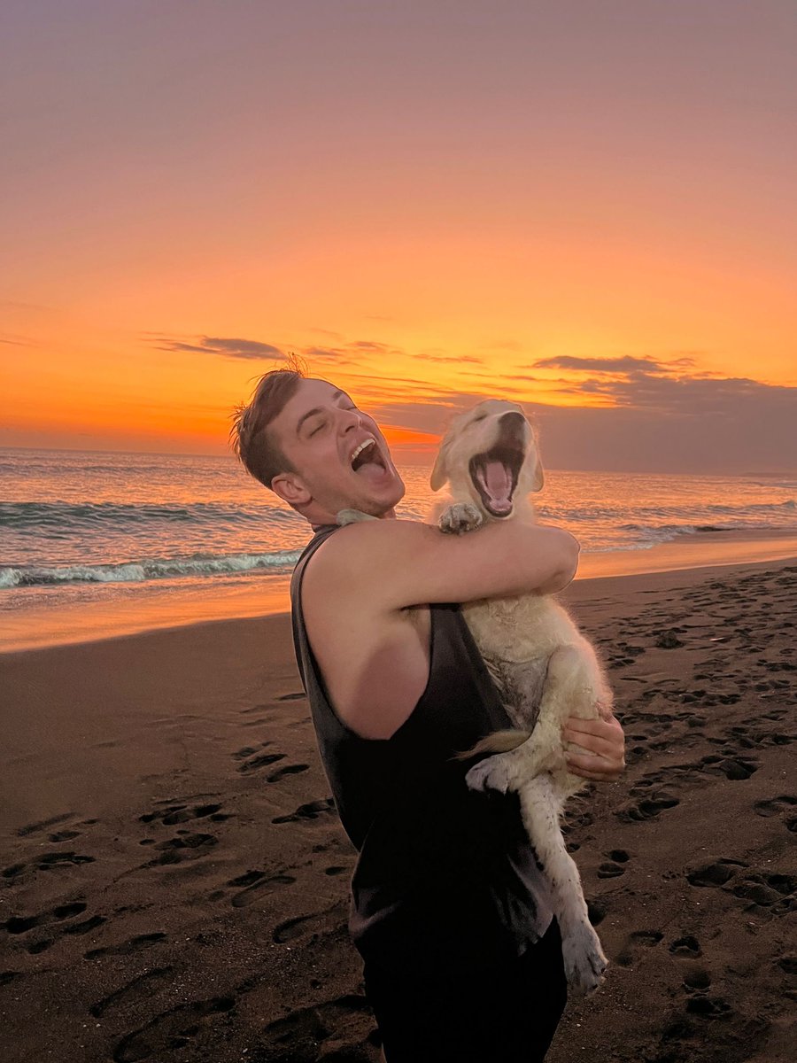 wannercashcow tweet media